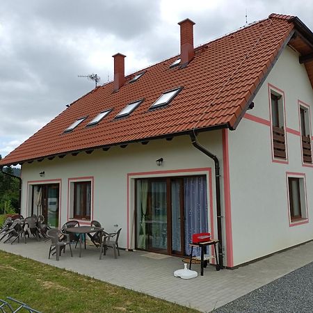 Apartmany U Olsinske Kaplicky Horní Planá Exterior foto