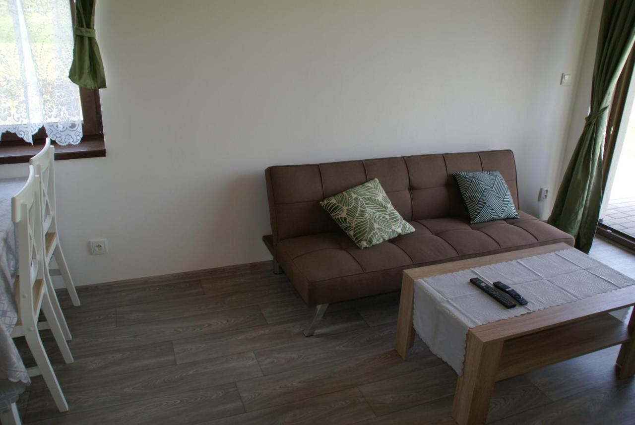 Apartmany U Olsinske Kaplicky Horní Planá Exterior foto