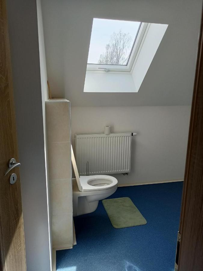 Apartmany U Olsinske Kaplicky Horní Planá Exterior foto