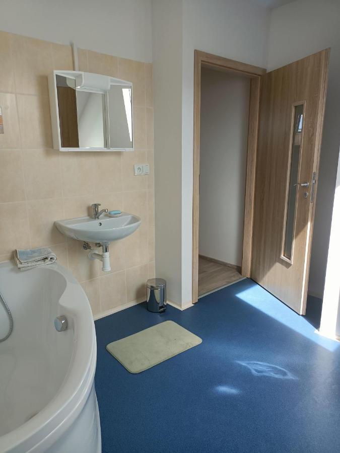 Apartmany U Olsinske Kaplicky Horní Planá Exterior foto